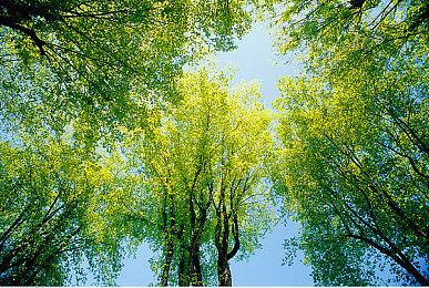 《Shujinkou》Steam试玩发布 3D迷宫RPG